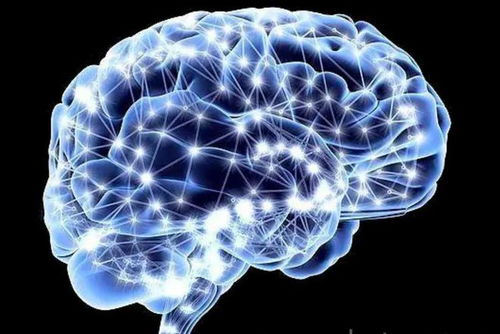 業余初段的傳奇 技術如何將普通人名字鐫刻在圍棋史冊